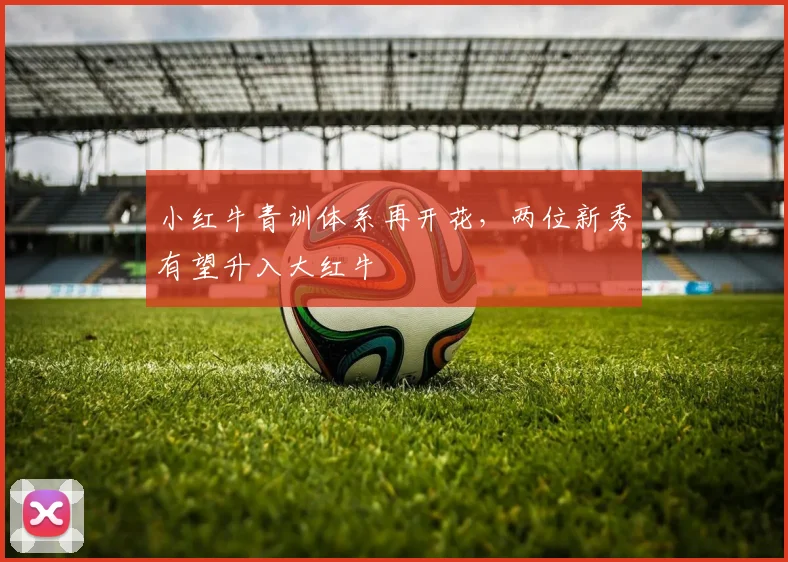 小红牛青训体系再开花，两位新秀有望升入大红牛