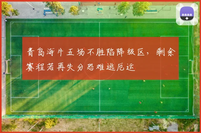 青岛海牛五场不胜陷降级区，剩余赛程若再失分恐难逃厄运