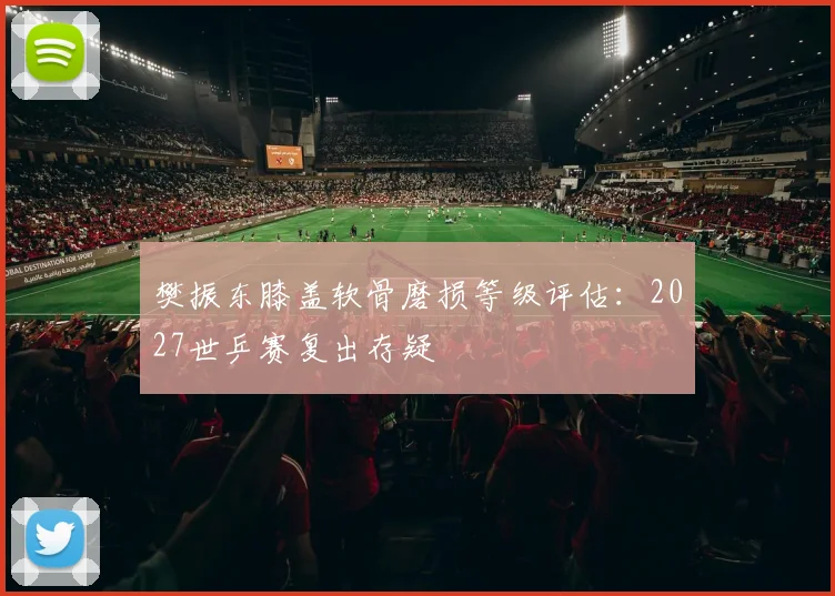 樊振东膝盖软骨磨损等级评估：2027世乒赛复出存疑